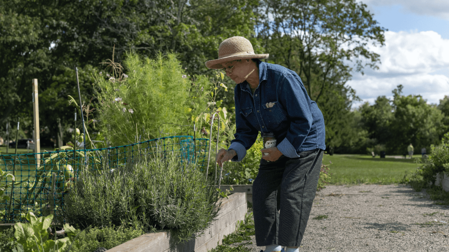 Community Gardens- person tending to garden